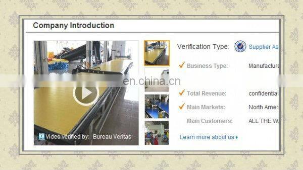 Customized slides for sale commercial inflatable big water slide with great price