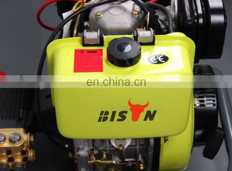 BISON(CHINA) BS-D250 New Design Professional 250Bar Portable Water High Pressure Cleaner For Sale