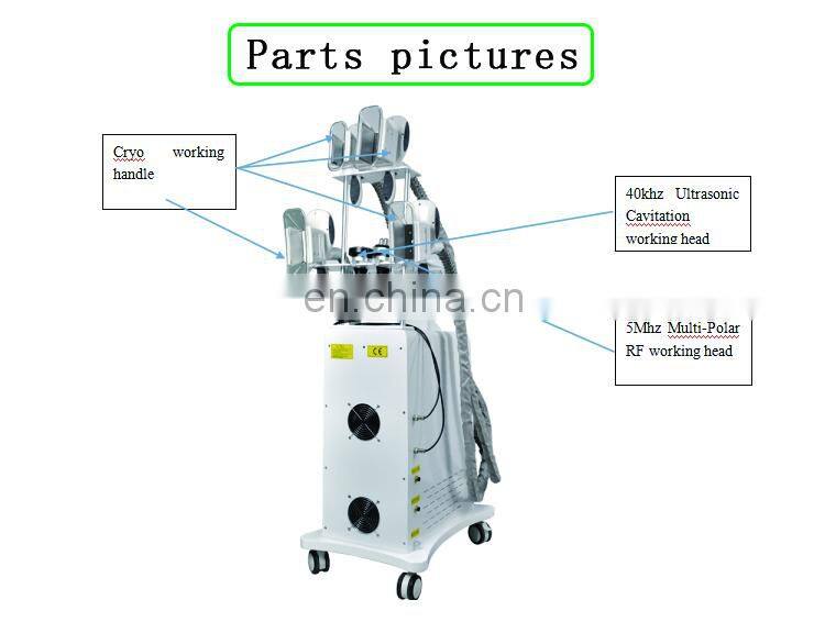 Vertical Slimming Effective 4 Handles Cryolipolysis Machine With 40k Cavitation RF system