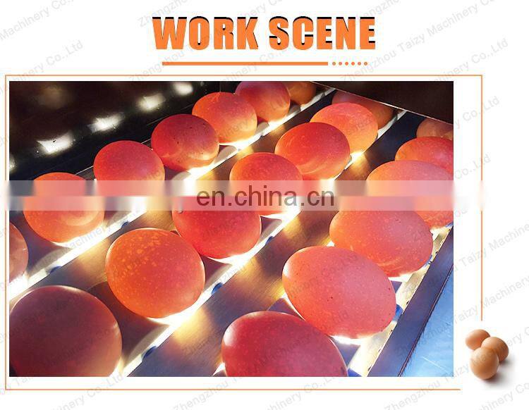 commercial Poultry Equipment Egg Grading Machine egg sorting grading machinery