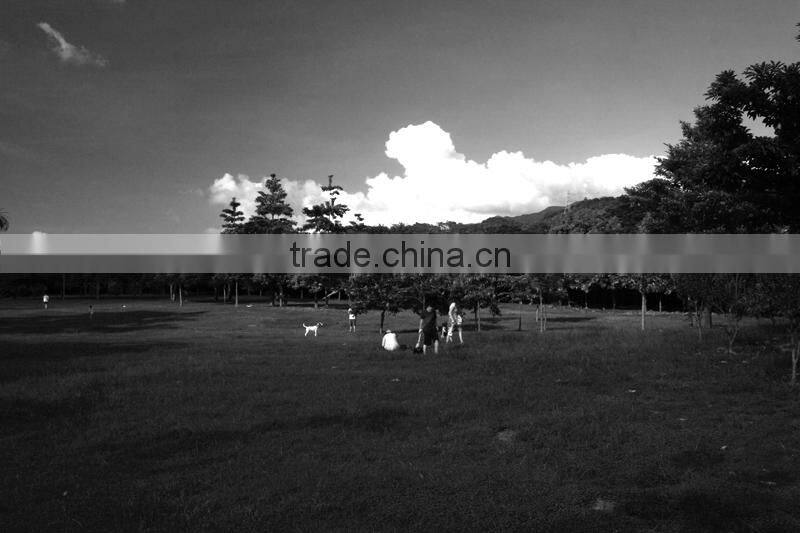 Massa Green filter 67mm High quality colorful filter