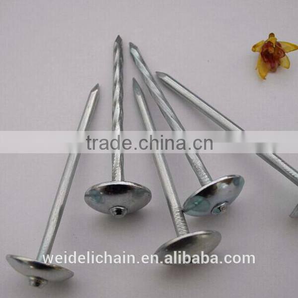 Fastener manufacturer corrugated sheet iron roofing nail