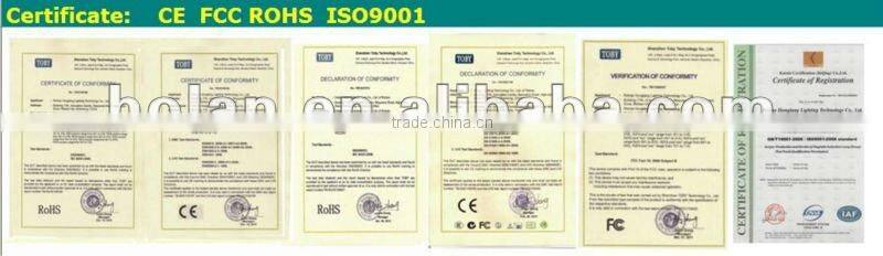 induction street light luminaires