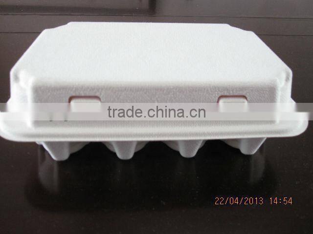 10 Eggs Sugarcane Fiber Moulded Pulp Chicken Egg Tray