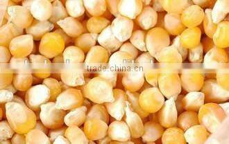 automatic corn peeler , corn peeling machine