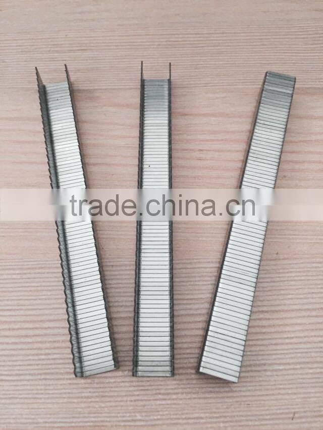 T50/A11/PF type electro galvanized staples,divergent staples