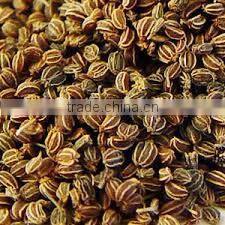Celery Seeds