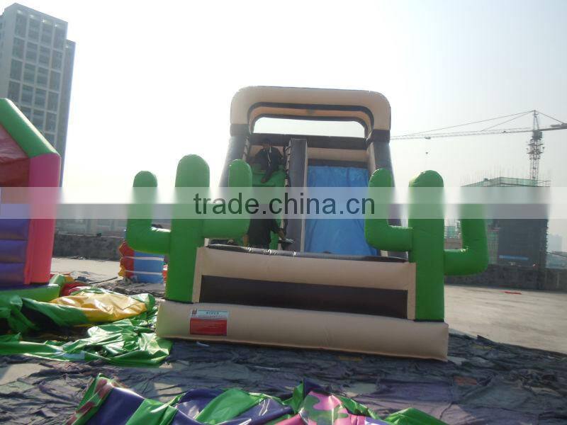 Hola summer color inflatable slip n slide/inflatable slide/inflatable water slide