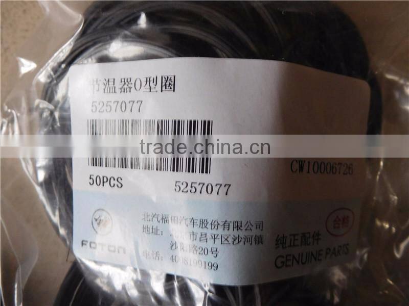 5257077 Thermostat O-ring