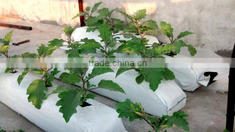 Coco Coir Pith Grow Bags for 2016 Sale
