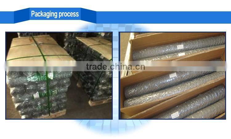 useful electric-galvanized hexagonal wire mesh