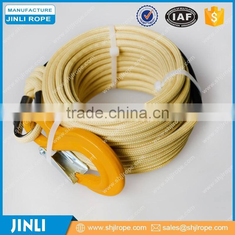 JINLI advertising dual line paraglider kite power kite from the kite factory