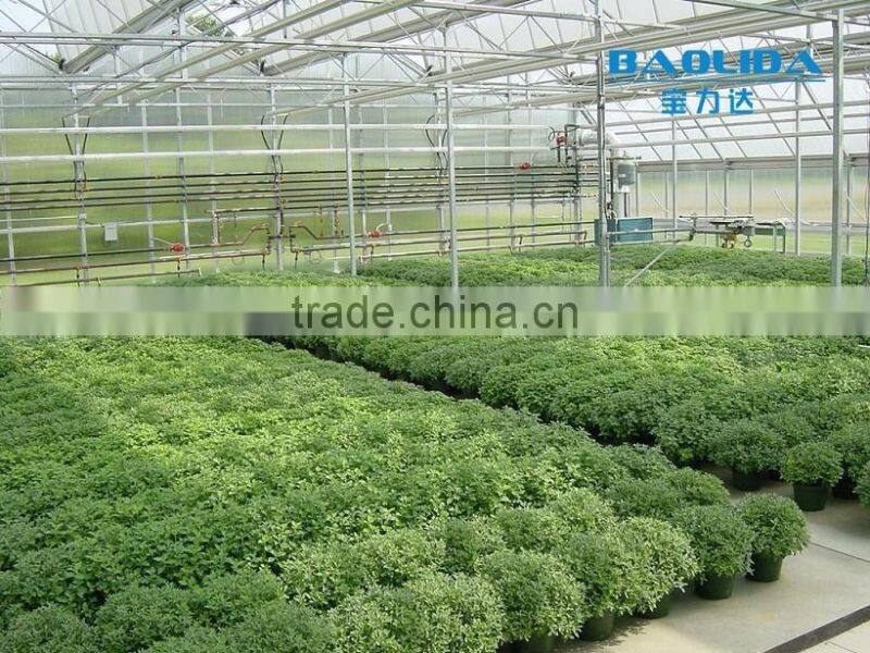 galvanized mental pipe frame polycarbonate Greenhouse PC greenhouse single /multi span with automatic control system