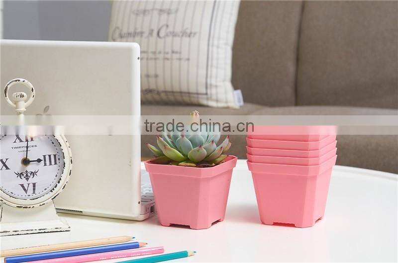 Thicken Colorful Square Plastic Plant Pot for Decoration of Home Office Desk Garden Flower Shop