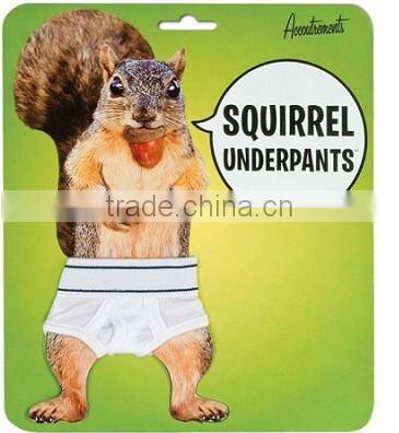 Squirrel Underpants