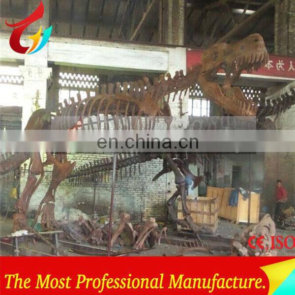 High Quantity Animal Skeletons Fossil In Big Discount