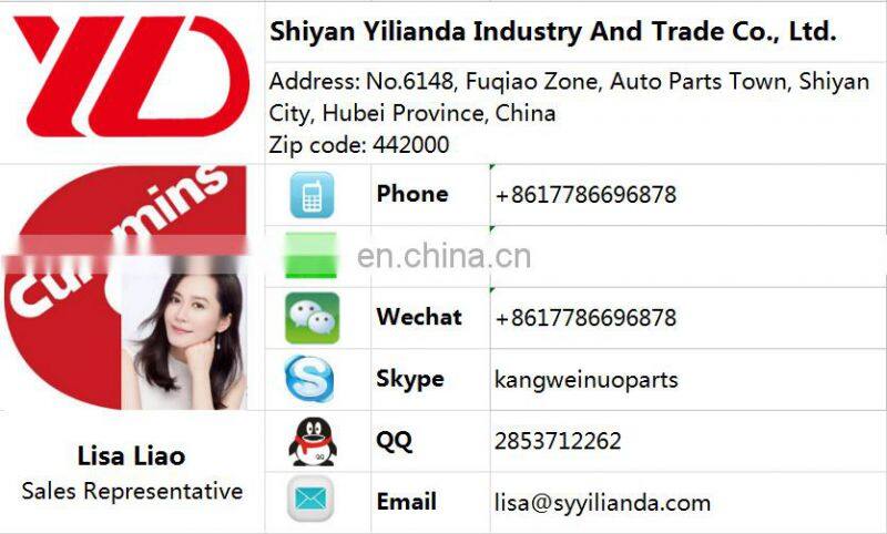 Top quality NT855 Diesel Engine PT Pump 3021961 fuel injection pump