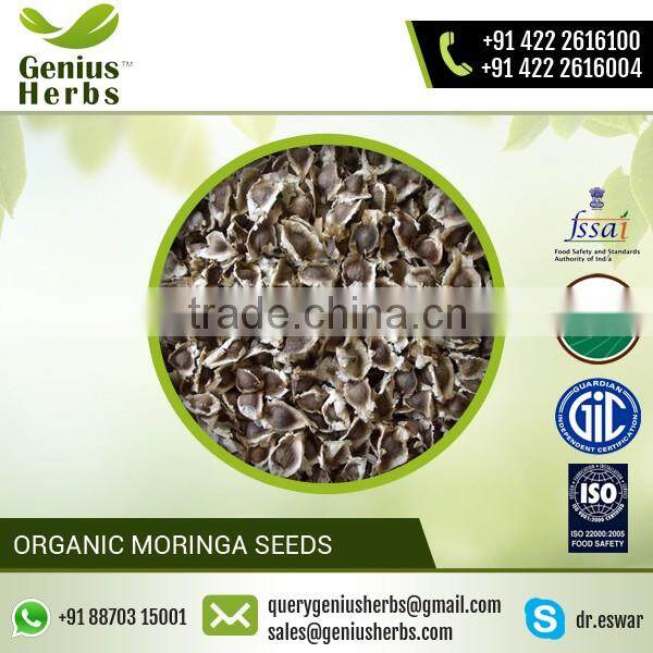 Gracefully Extracted Moringa Seed Supplied by Prominent Dealer