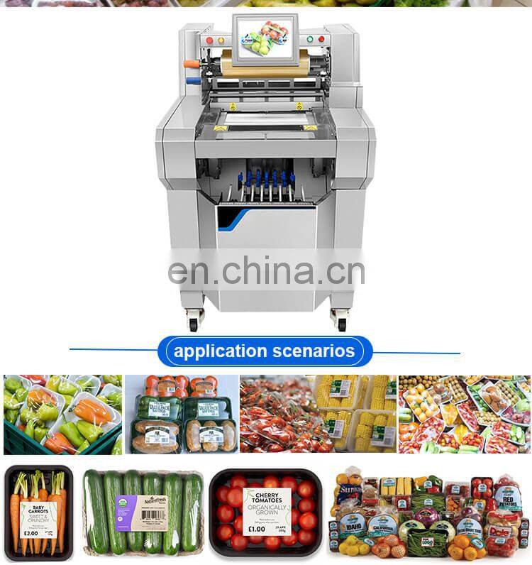 Automatic Vegetable Packing Machine For Food Daily