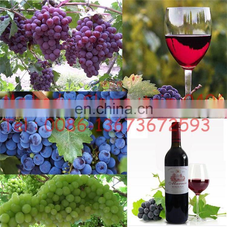 Energy-saving full automatic Grape Destemmer Machine | Grape Crusher Stemmer