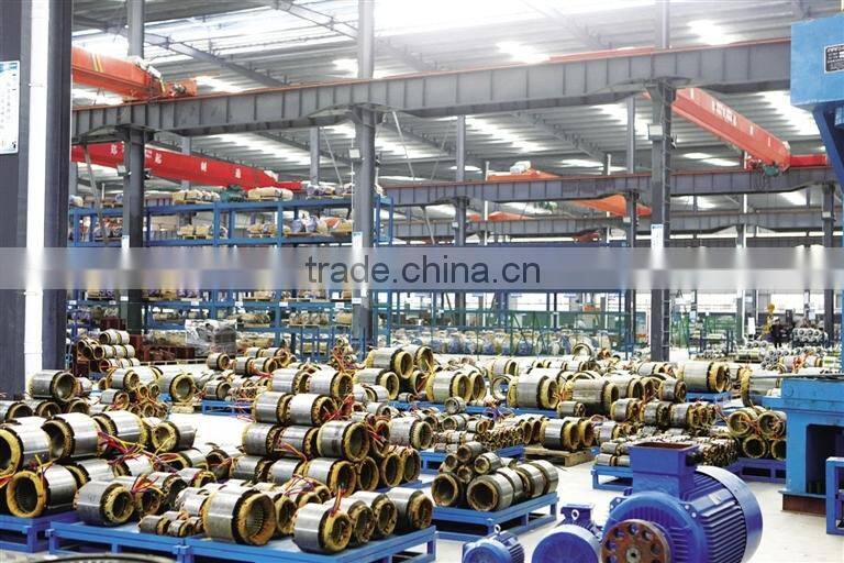IE2 High quality electric motor for concrete mixer