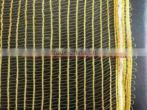 blue olive net