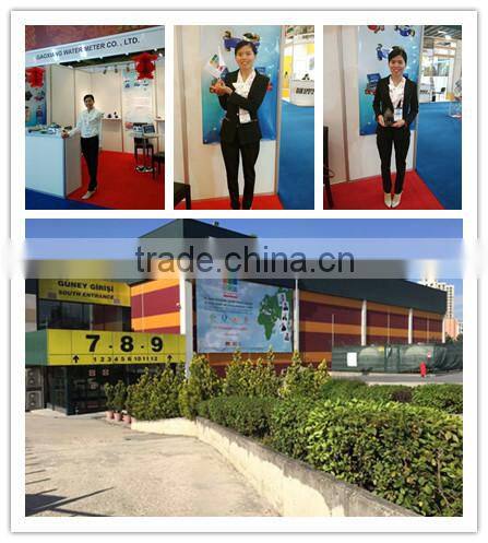 SS 304 Stainless Steel Water Flow Meter in Size 15-40mm