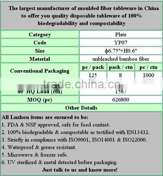100% Biodegradable Moulded Fiber Platter