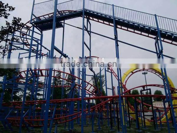 hot sale amusement theme park rides roller coaster/roller coaster