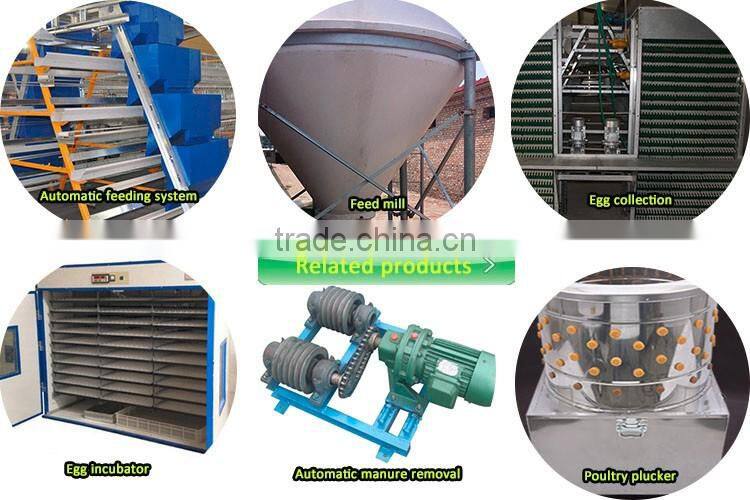 chicken and poultry farming use type poultry farming equipment