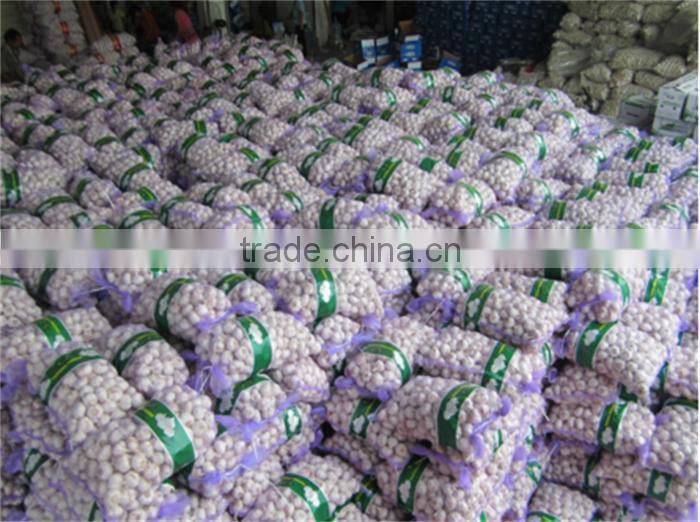 garlic in brine garlic pickles garlic