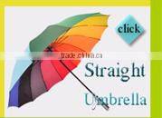 POE Automatic child umbrella,animal cat umbrella,lovely cat umbrella