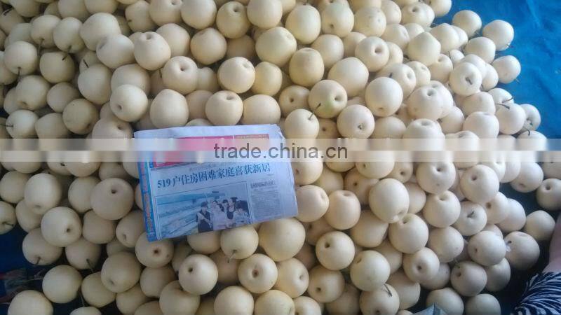 Golden Pear in low price