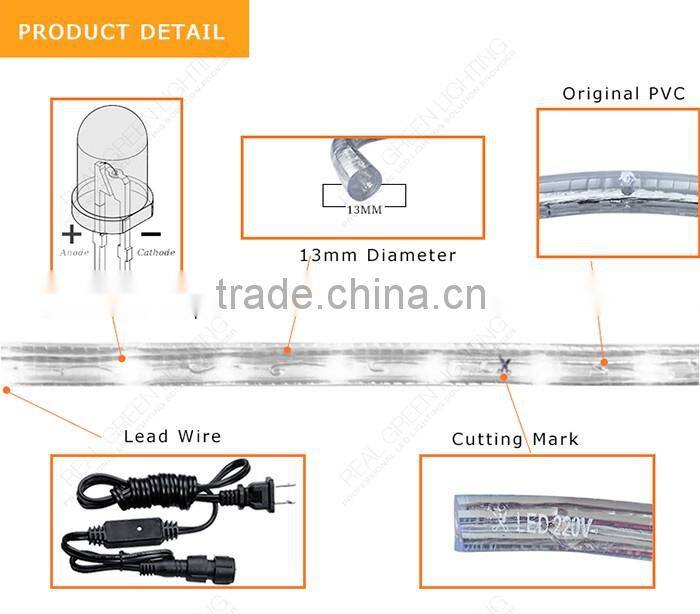 Special Decoration Amer 12V LED Rope Light