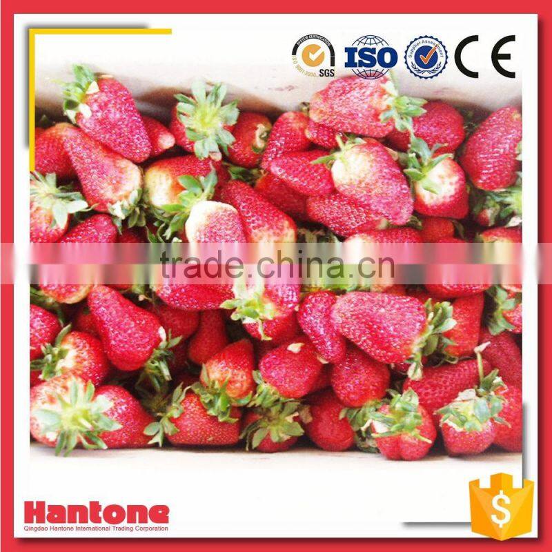 Iqf Frozen Strawberry Diced 15mm-25mm 25-35mm 15-35mm