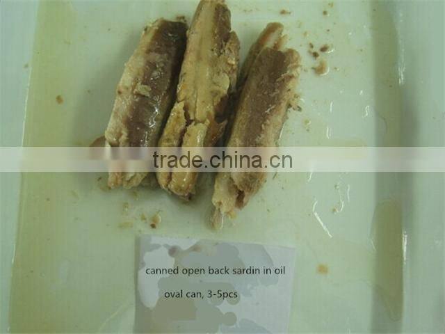 Canned Sardine Fillets in oil