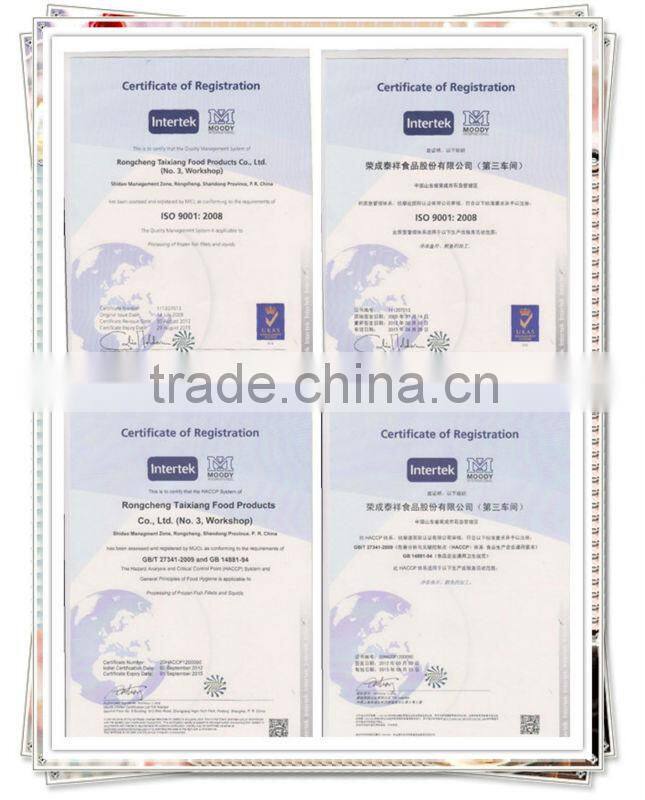 Frozen food ( Frozen Hoki Fillet)