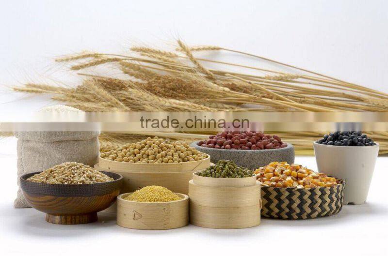 Healthy Breakfast Soybean Flavor Instant Nutritious Cereal