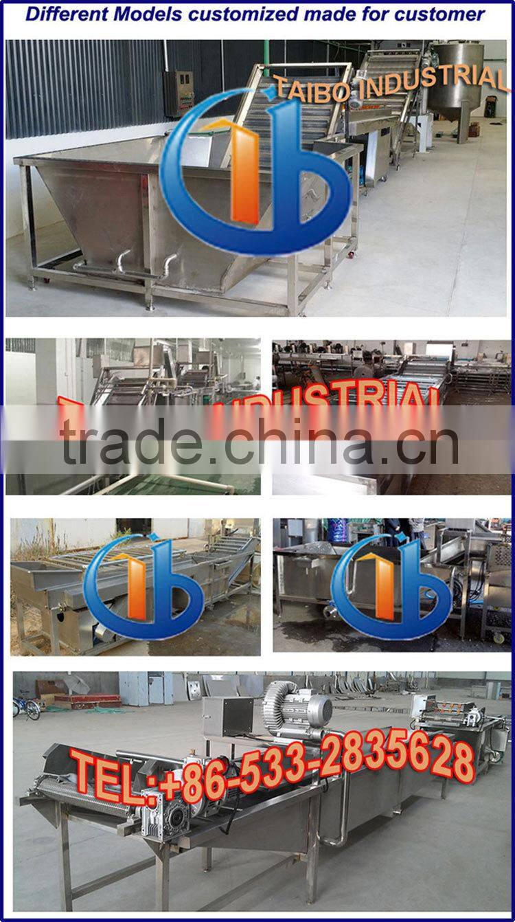 Automatic fruits and vegetables washing machine for washing apples/ berry cleaning
