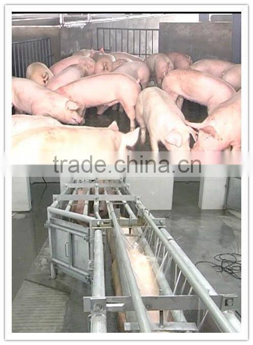 Pig hide peeling machine Pig slaughter equipment