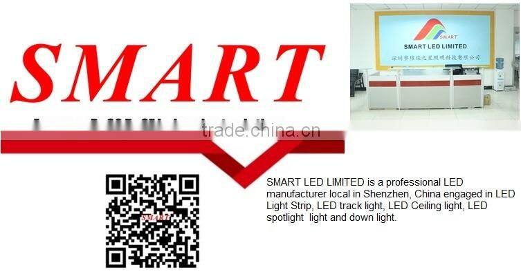 Die casting 7W 10W 15W 22W SMD2835 color tempreture change IP65 waterproof outdoor led downlight