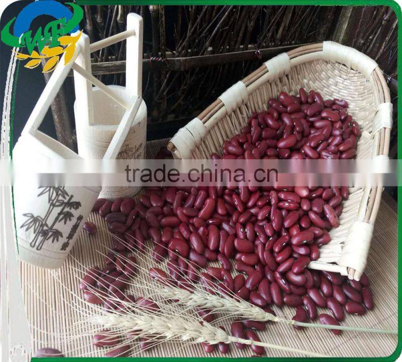 20015 New crop British type dark red kidney beans