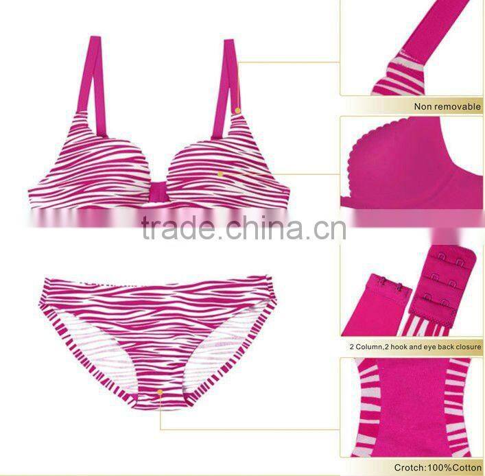 Hot sexy woman underwear Zebra print design V ladies bra and bikini sets
