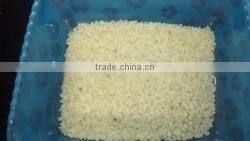 Guar Gum Splits Exporters