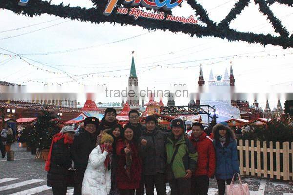 round wood chipper machine price