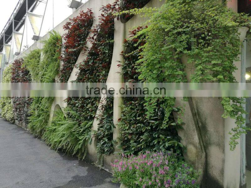 Vertical Landscape
