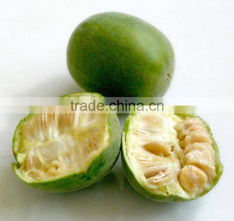 Nutritional Best fruit Luo han guo extract / monk fruit extract powder with mogrosive V 20%