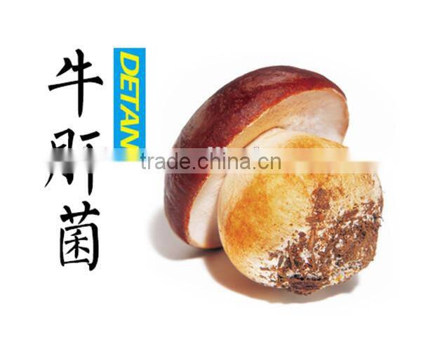 Dried sliced porcino, Boletus Edulis