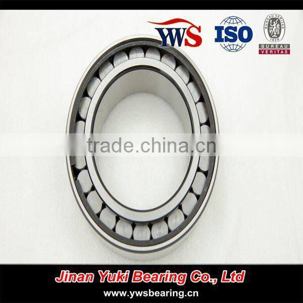 double row Full complement cylindrical roller bearing SL 185013