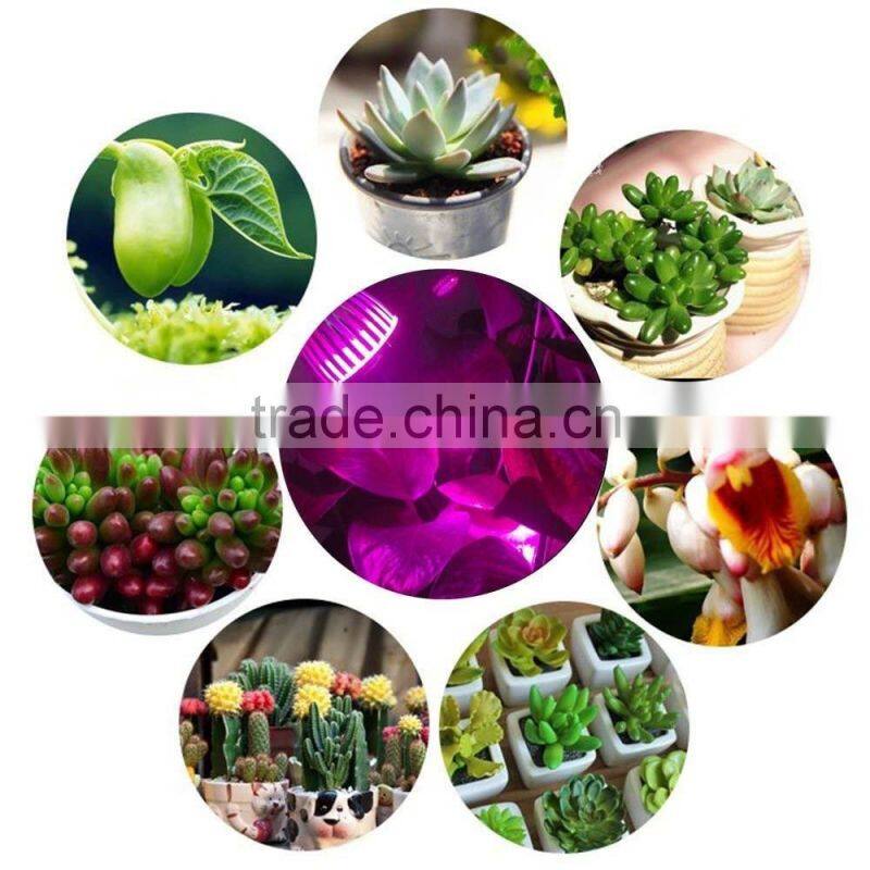 5W LED Grow Lights for Indoor Plants